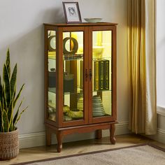 a wooden cabinet with glass doors in a living room next to a potted plant