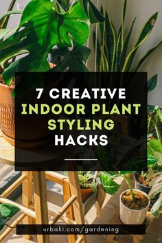 indoor plants with text overlay that reads 7 creative indoor plant styling hacks, urban gardening