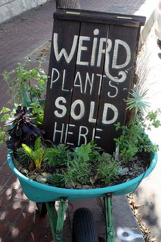 a wheelbarrow filled with plants on the sidewalk