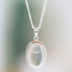 a dandelion in a glass pendant hangs from a chain