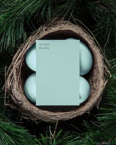 three eggs in a nest on top of a pine tree with a blue card next to it