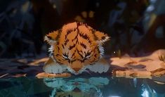 a small tiger sitting on top of a body of water