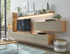 a living room with furniture and plants on the shelves, including a large television set