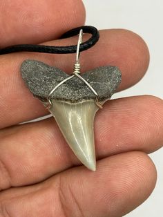 Shark tooth necklace one of a kind design. USA made. whole Mako shark tooth found in North Carolina.   wire wrapped necklace. The shark tooth necklace is unisex great gift for anybody tooth length 1.38"  pendant   sterling silver wire.  Top quality and made to  Necklace cord included  Free shipping in continental USA  We offer Megalodon shark teeth, wire wrapped shark teeth, mako shark, tiger shark, great white shark, silver gold or copper. Message us for custom inquired or visit our website.  T Shark Teeth Jewelry, Tooth Jewelry, Sharks Teeth, Mako Shark, Megalodon Shark, Tiger Shark, Shark Tooth Necklace, Teeth Jewelry, Tooth Necklace