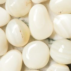 some white eggs are laying on top of each other