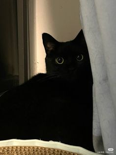 a black cat sitting on top of a window sill next to a white curtain