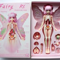 a pink fairy doll with skeleton and bones in it's box, next to its contents