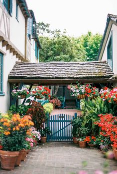 an entrance to a house with potted plants and flowers on either side of it