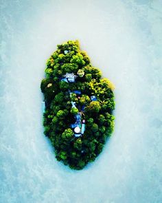 an aerial view of a green tree in the shape of a house on top of water