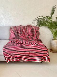 a couch with a blanket on it next to a potted plant