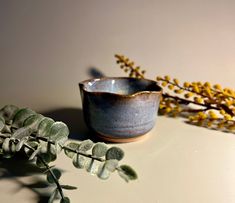 a blue bowl sitting on top of a table next to a green leafy plant