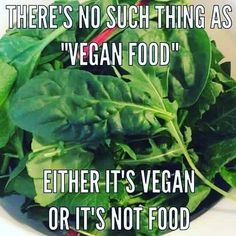 Vegan Activism, Reasons To Go Vegan, Vegan Memes, Vegan Bodybuilding