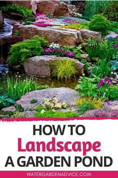 a garden pond surrounded by rocks and flowers with text overlay that reads how to landscape a garden pond