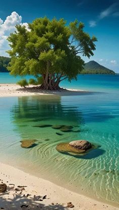 an island in the middle of clear blue water