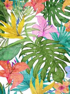 a drawing of tropical leaves and flowers on a white background with watercolor pencils