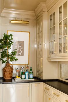 a kitchen with white cabinets and a potted plant on the counter next to it