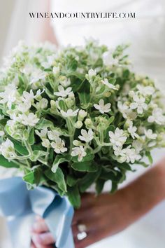 a bride holding a bouquet of white flowers