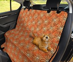 a dog is sitting in the back seat of a car with an orange flower pattern