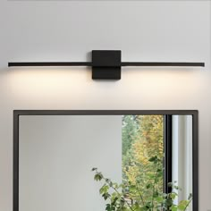 a bathroom mirror sitting above a sink under a light mounted on a wall next to a potted plant