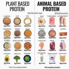 Plant Based Proteins, Protein Foods List, Resep Smoothie, Contaminated Food, Healthy High Protein Meals, Animal Based, Resep Diet, Protein Rich Foods, Food Charts