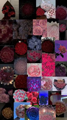 a collage of images with different flowers and colors on them, including pinks, purples, and red