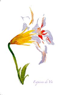 a watercolor painting of a flower on a white background