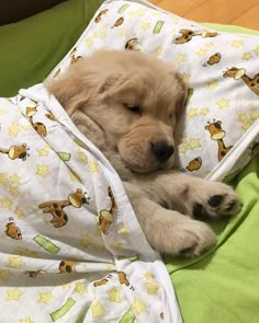 a puppy sleeping on top of a bed under a blanket