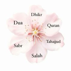 the names of different flowers on a white background