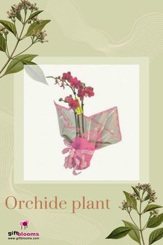 an origami flower bouquet with pink ribbon tied around it and the words orchid plant