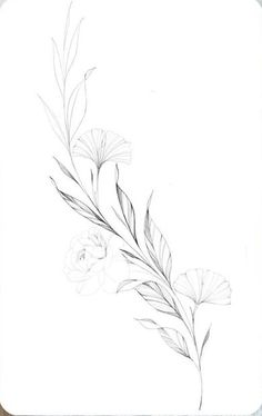 a pencil drawing of some flowers on a white background