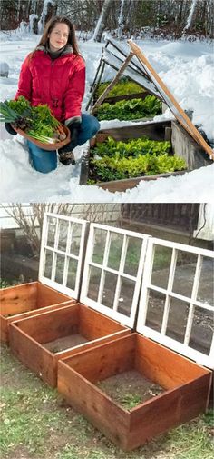 a woman kneeling down in the snow next to an open garden box filled with lettuce