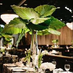 a tall vase filled with green leaves on top of a table covered in white flowers