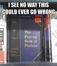 there is a book shelf with books on it and the caption says, i see no way this could ever go wrong