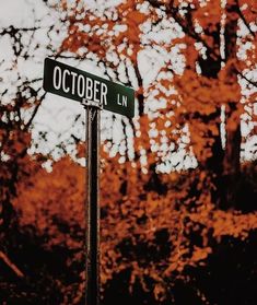 the street sign is clearly visible for us to see in this photo, it looks like autumn