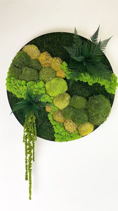 an arrangement of green and yellow plants on a white surface with fern leaves in the center