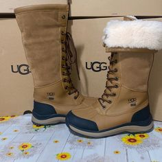 Ugg Adirondack Iii Tall Boot Size-6 Brown/Black No Box Authentic Ugg Adirondack, Shoes Ugg, Tall Boot, Tall Boots, Womens Uggs, Ugg Shoes, Black And Brown, Size 6, Women Shoes