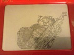 a pencil drawing of a bear sitting on a tree branch in front of a red frame