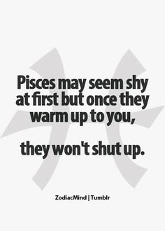 a quote that says pieces may seem shy at first but once they warm up to you, they won't shut up