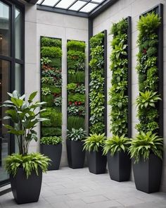 several large planters are lined up on the side of a building with plants growing in them