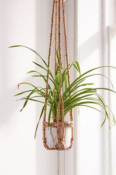 a potted plant hanging from the side of a white wall next to a window