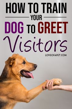 a dog reaching out its paw to another dog with the words how to train your dog to greet visitors