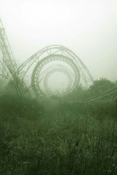 an amusement park ride in the foggy grass with fire hydrant and roller coaster