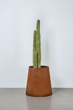 a green cactus in a brown pot sitting on the floor next to a white wall