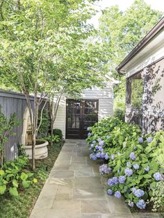 an outdoor garden with blue flowers and trees