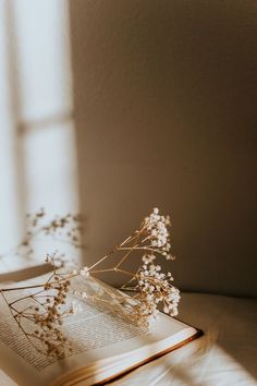 an open book sitting on top of a table next to a flower vase filled with baby's breath