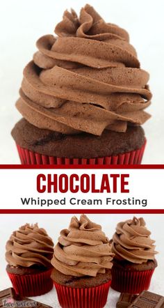 chocolate whipped cream frosting on top of cupcakes with the title above it