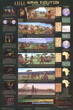 the human evolution poster with pictures of people and animals in different locations, including an image of