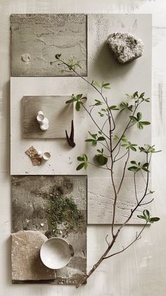 various objects are arranged on the wall with one plant in front of it and two vases behind them