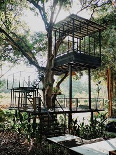 a tree house built into the side of a tree