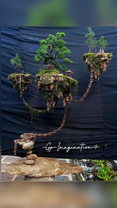 the bonsai tree is being displayed in front of a black backdrop with writing on it